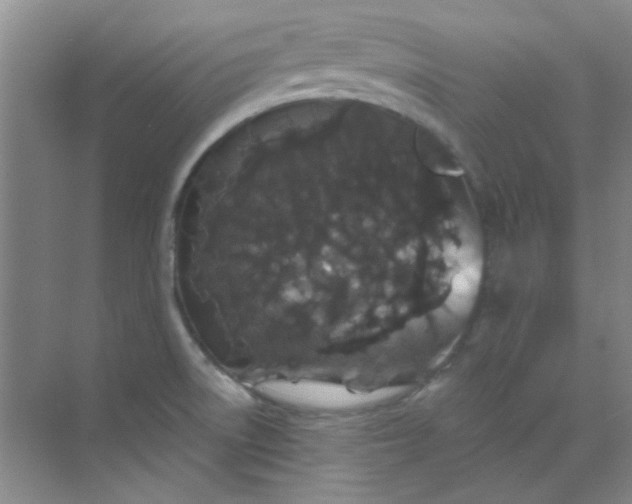 X0000070241522200606161832