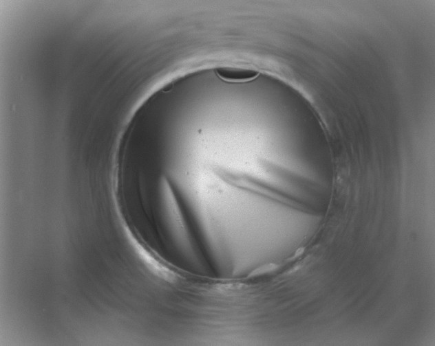 X0000070241523200606161832