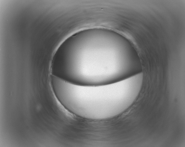 X0000070241524200606161832