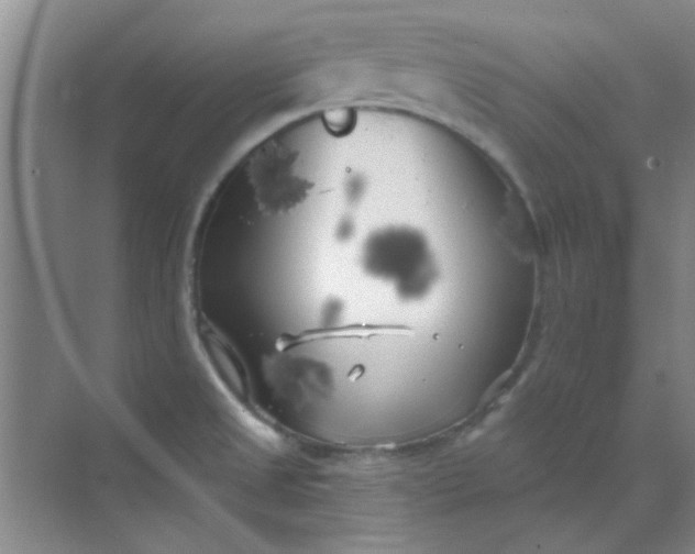 X0000070241525200606161832