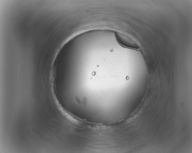 X0000070241526200606161832