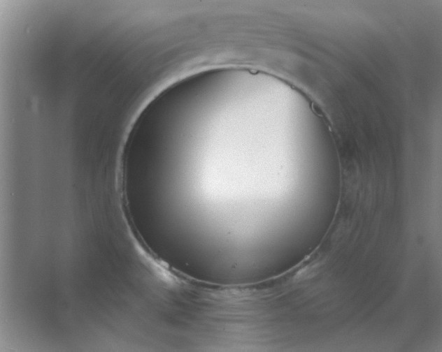 X0000070241527200606161832