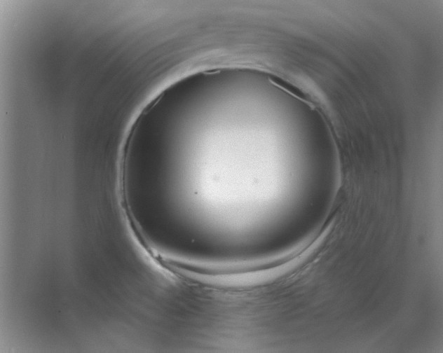 X0000070241528200606161832