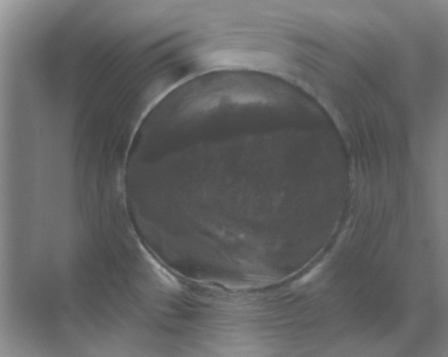 X0000070241529200606161832