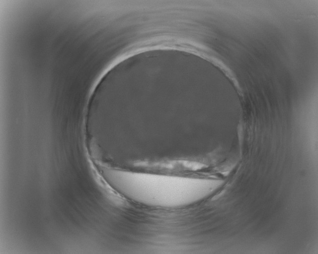 X0000070241530200606161832