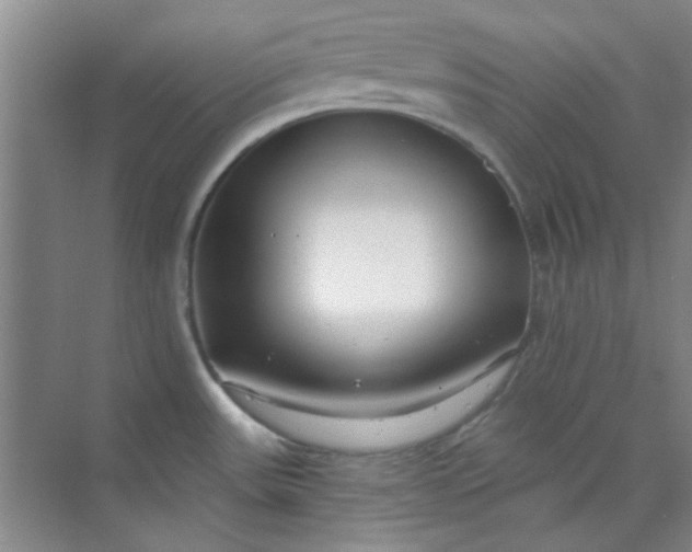 X0000070241531200606161832