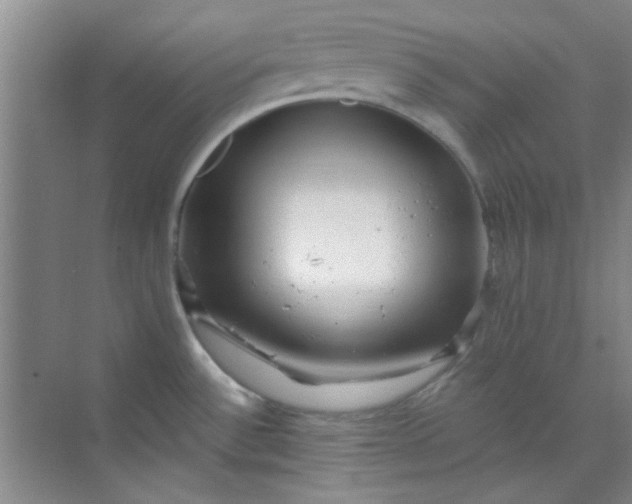 X0000070241532200606161832