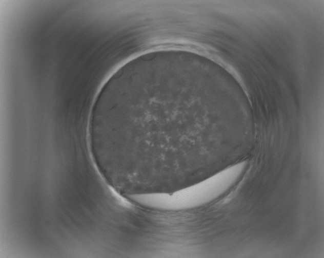 X0000070241533200606161832