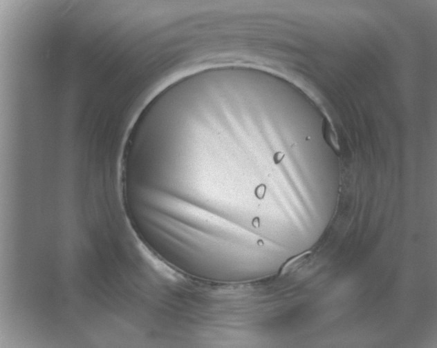 X0000070241535200606161833