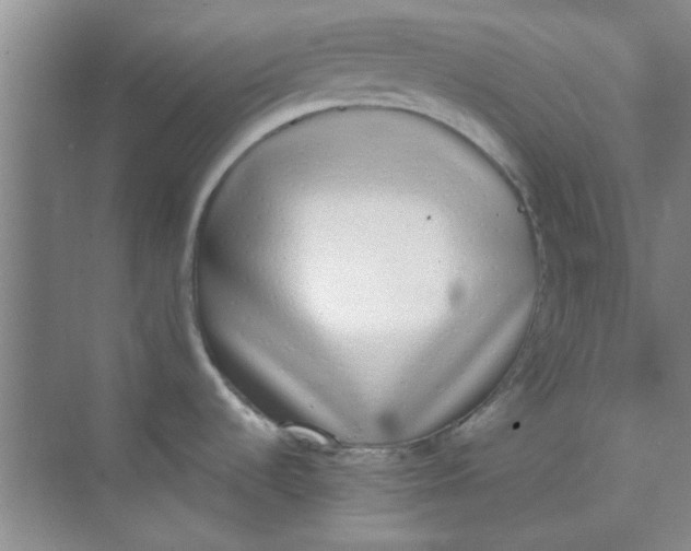 X0000070241536200606161833