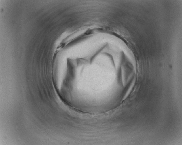 X0000070240003200606231954