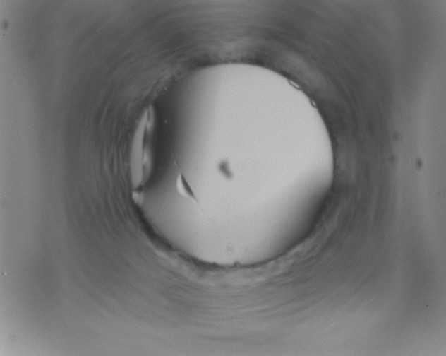 X0000070240025200606231954