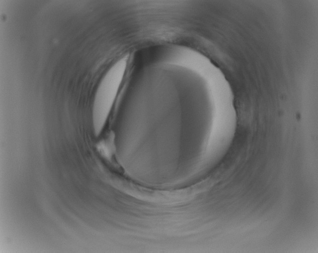 X0000070240027200606231954