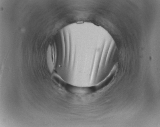 X0000070240033200606231954