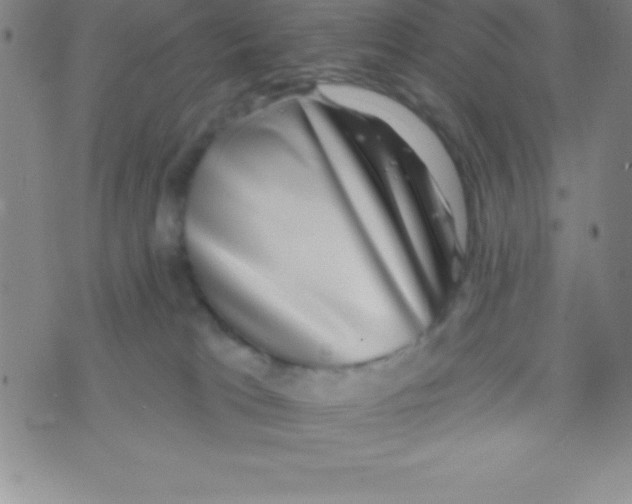 X0000070240037200606231954