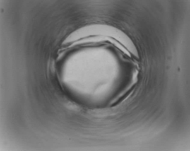 X0000070240041200606231954