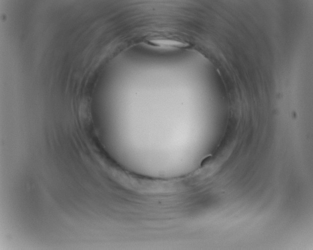 X0000070240044200606231954
