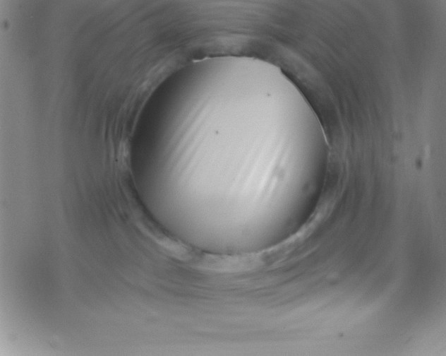 X0000070240045200606231954
