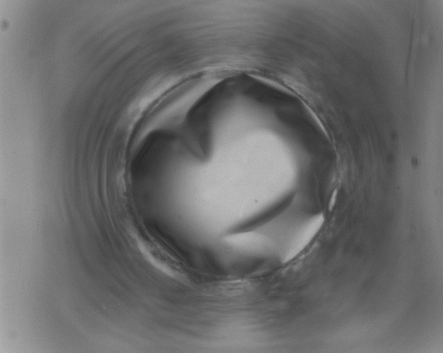X0000070240050200606231953