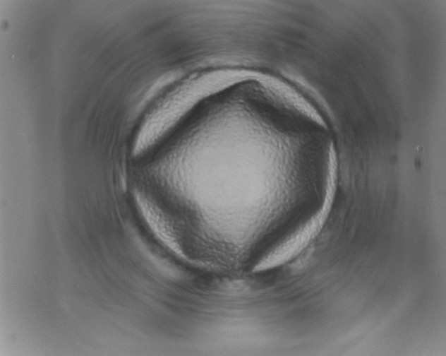 X0000070240062200606231953