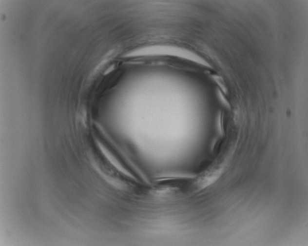 X0000070240072200606231953