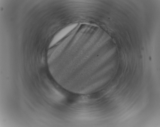 X0000070240080200606231953