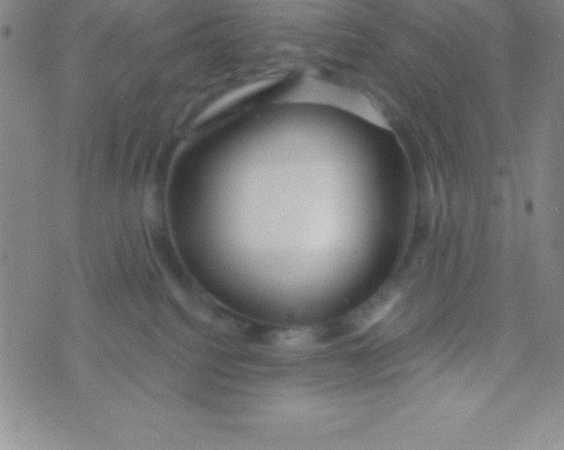 X0000070240088200606231953