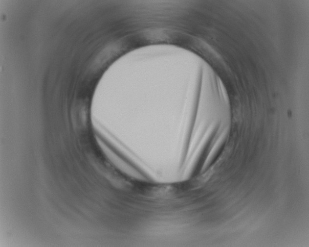 X0000070240124200606231952