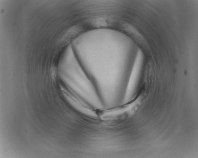 X0000070240125200606231952