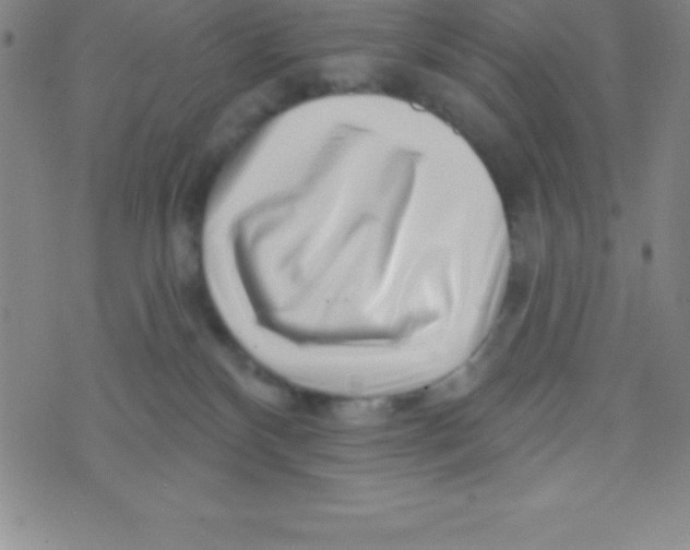 X0000070240136200606231952