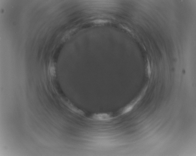 X0000070240137200606231952
