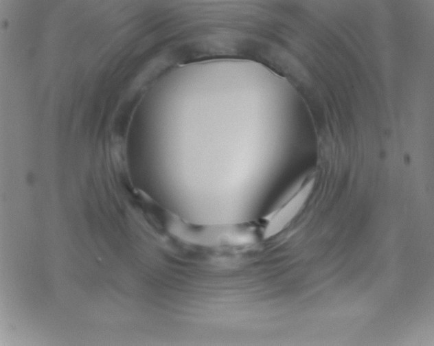 X0000070240141200606231952