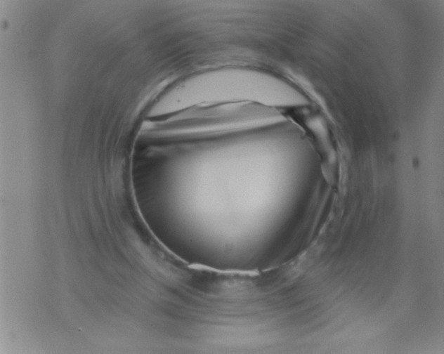 X0000070240154200606231951
