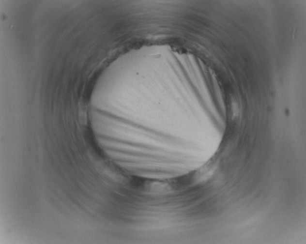 X0000070240180200606231952