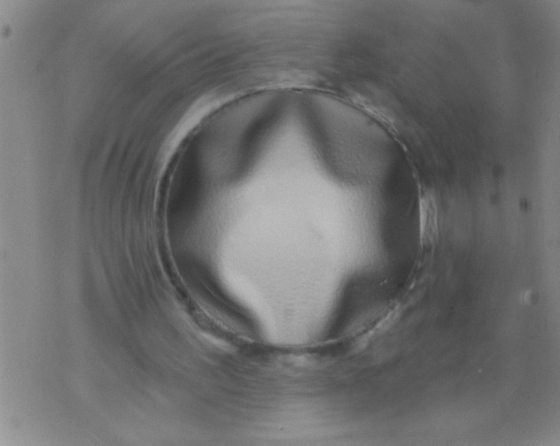 X0000070240195200606231951