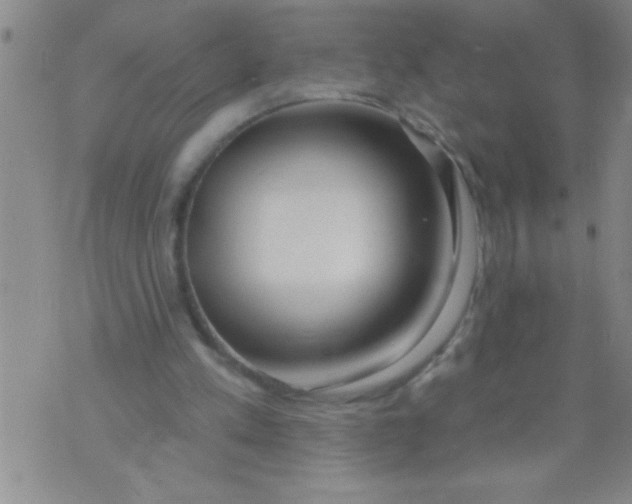 X0000070240197200606231951