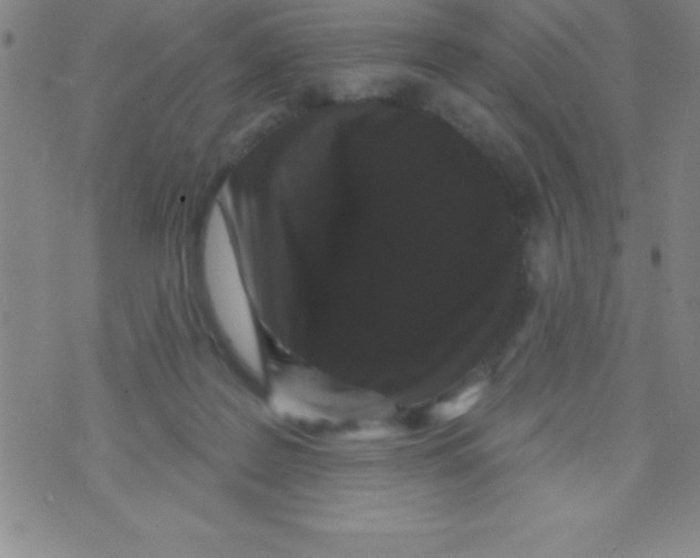 X0000070240219200606231951
