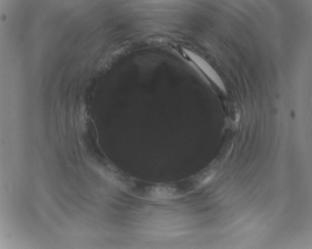 X0000070240223200606231951