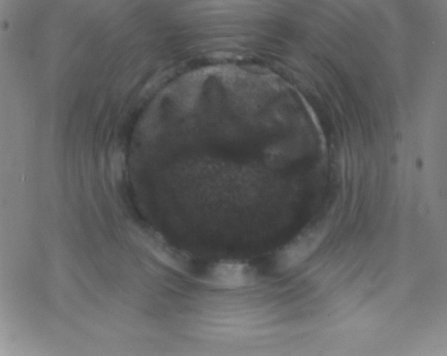 X0000070240227200606231951