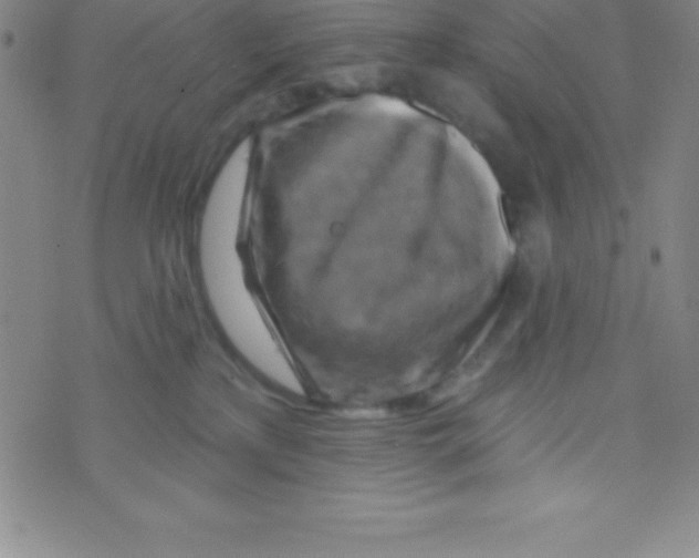 X0000070240233200606231951