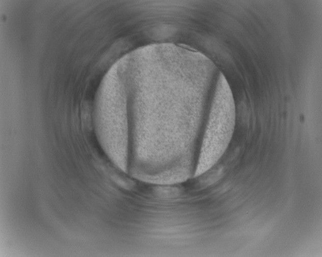 X0000070240234200606231951