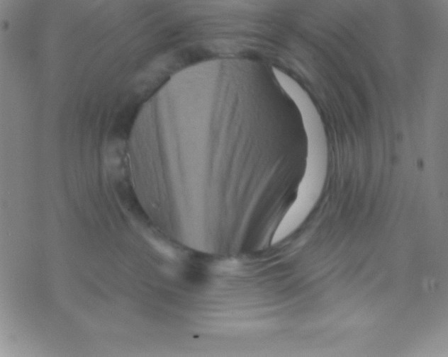 X0000070240237200606231950