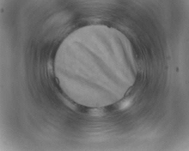 X0000070240238200606231950