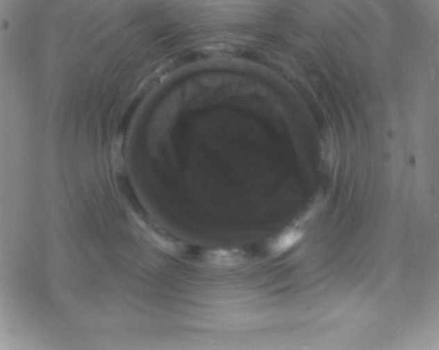 X0000070240239200606231950