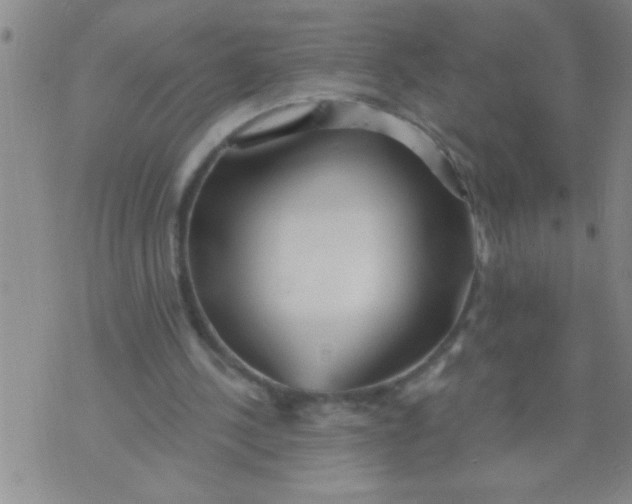 X0000070240244200606231950
