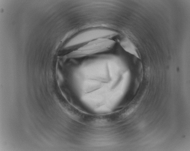 X0000070240256200606231950