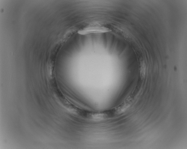 X0000070240268200606231950