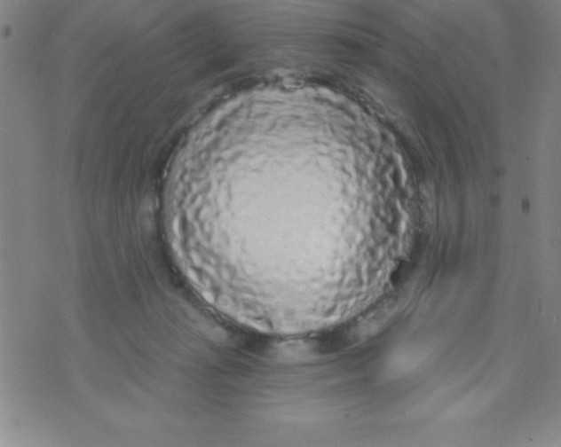 X0000070240269200606231950