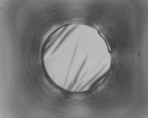 X0000070240292200606231950