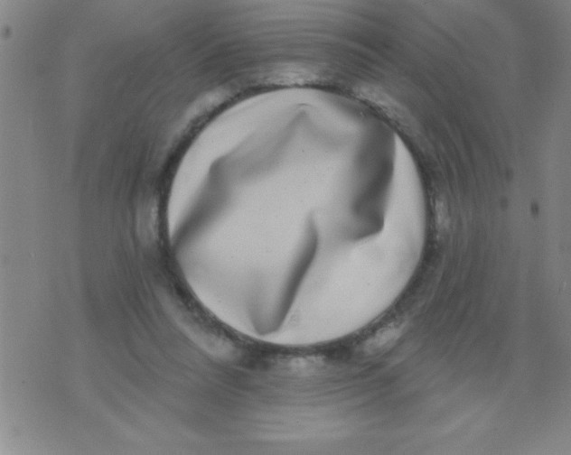 X0000070240304200606231949